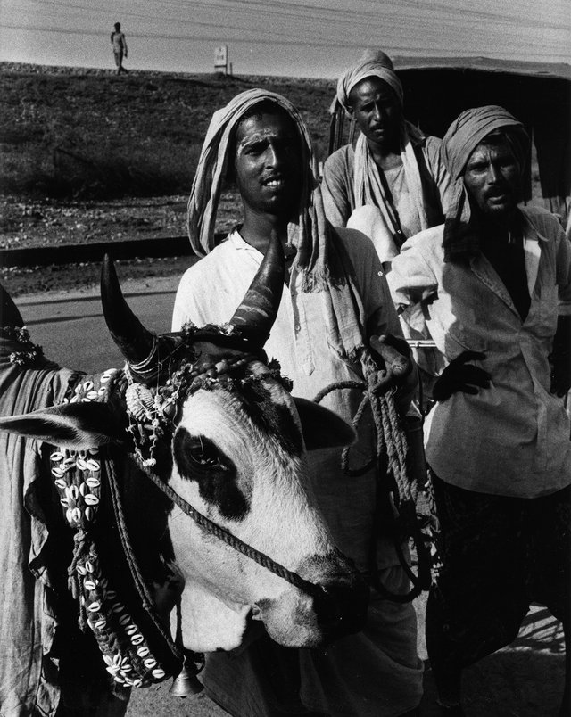 Groupe d'hommes sur une route, Népal