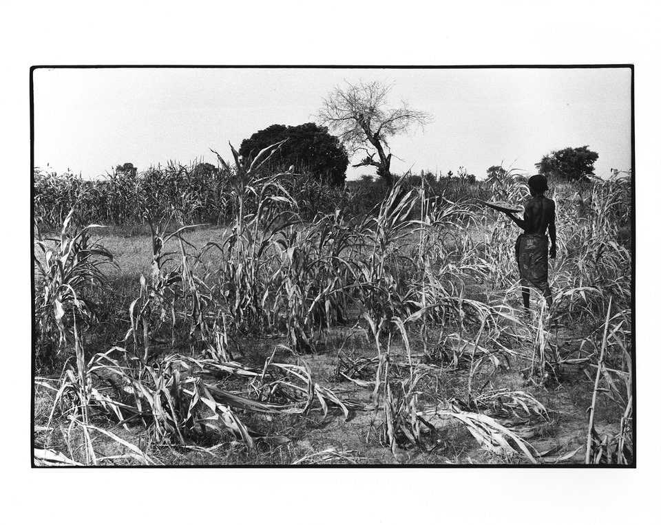 Mission CICR, Tchad – Photographies originales – Dany GIGNOUX – 1982