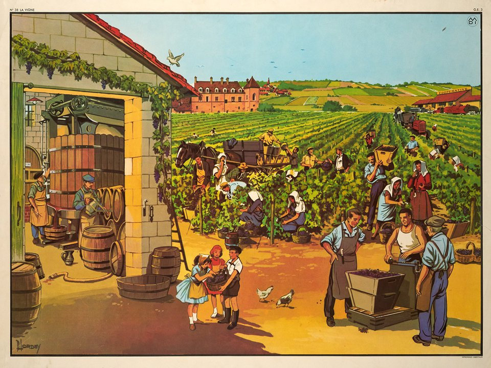 Le travail de la vigne – Vintage poster – HORDEY – 1955