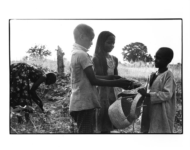 Mission CICR, Tchad