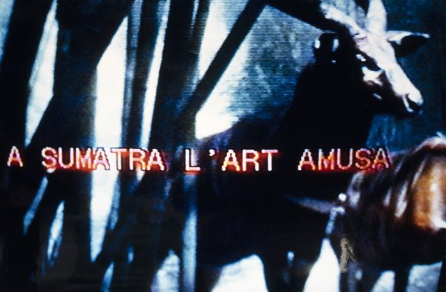 Palindrome "A Sumatra l'Art Amusa"