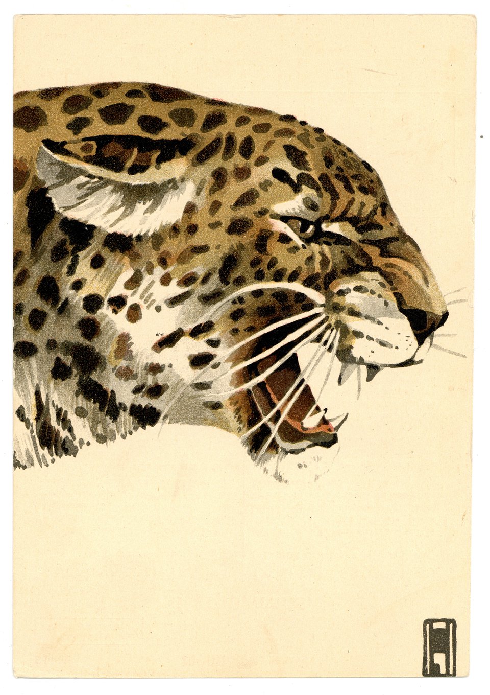 Le Léopard ou panthère, Carte Mono – Affiche ancienne – Ludwig HOHLWEIN – 1908