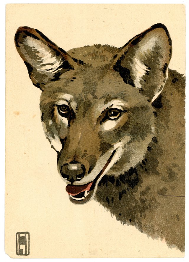 Le Loup, Carte Mono