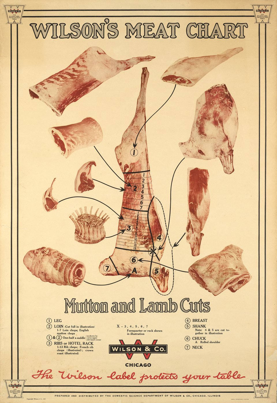 Wilson's Meat Chart, Mutton and Lamb Cuts – Affiche ancienne – ANONYMOUS – 1950