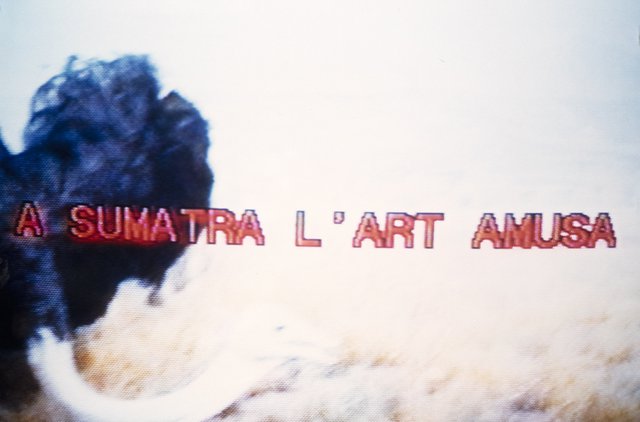 Palindrome A Sumatra l'Art Amusa
