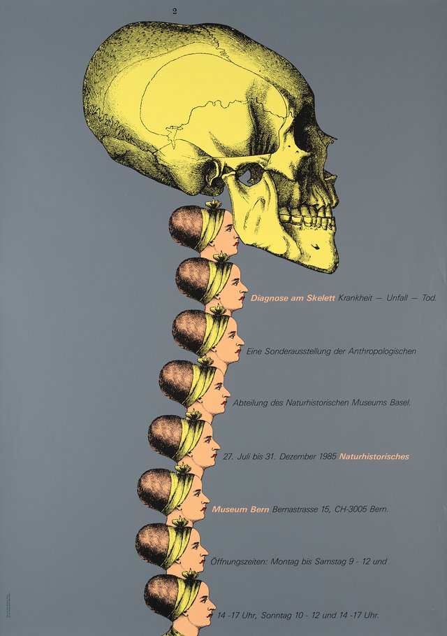 Diagnose am Skelett, Naturhistoriches Museum, Bern