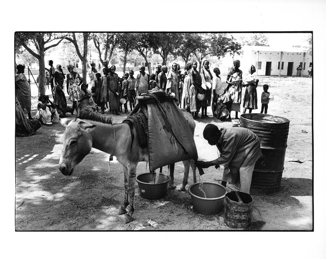 Mission CICR, Tchad