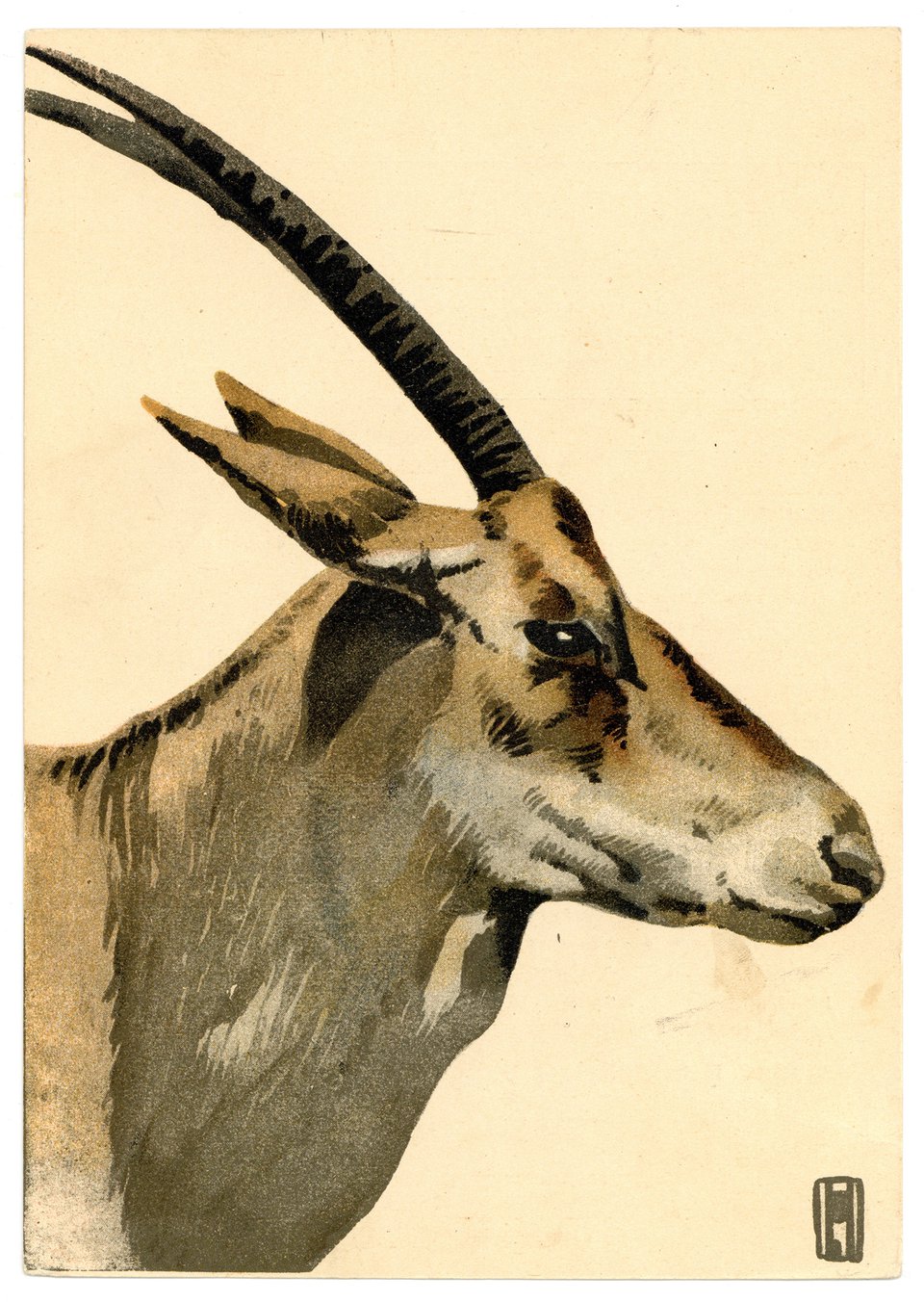L'Antilope à sabre, Carte Mono – Affiche ancienne – Ludwig HOHLWEIN – 1908