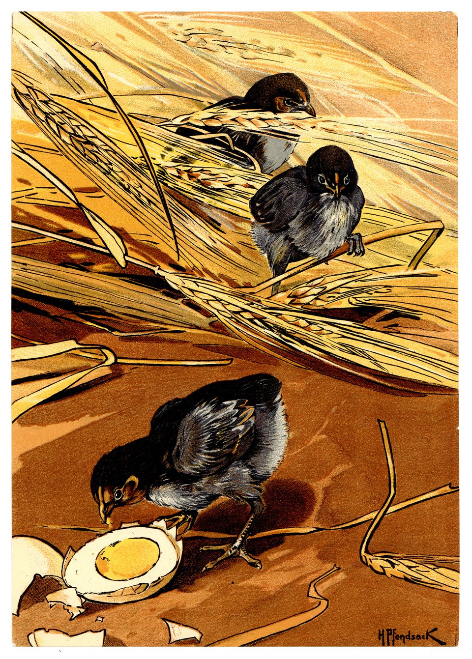 Ovomaltine, Carte Mono – Affiche ancienne – Hugo PFENDSACK – 1906