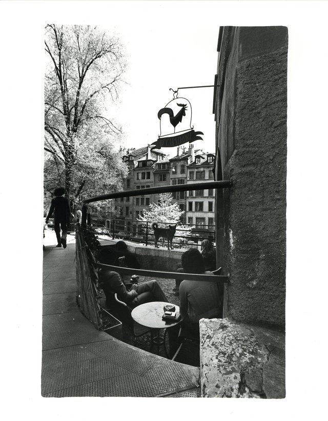 Restaurant Au Carnivore, Geneva