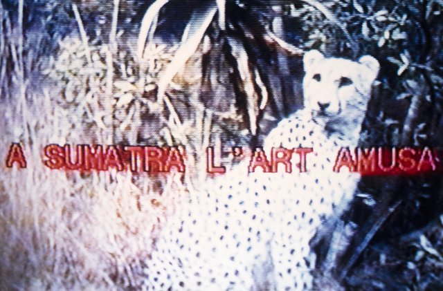 Palindrome "A Sumatra l'Art Amusa"