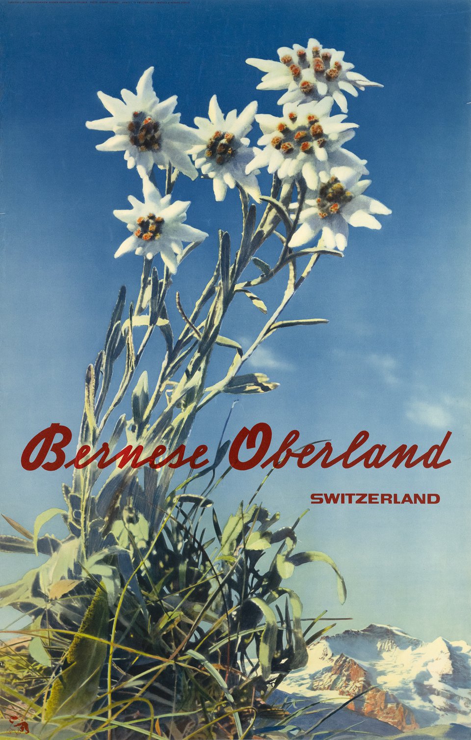 Bernese Oberland, Switzerland – Vintage poster – Walter AMSTUTZ, Walter HERDEG, Albert STEINER – 1935