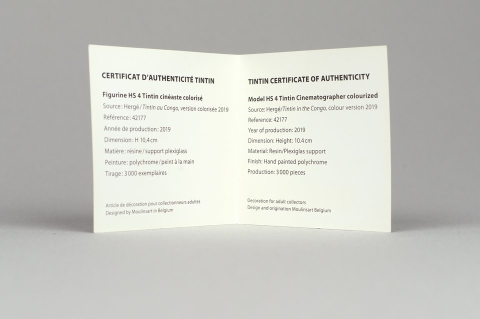 Tintin au Congo, Tintin Cinéaste