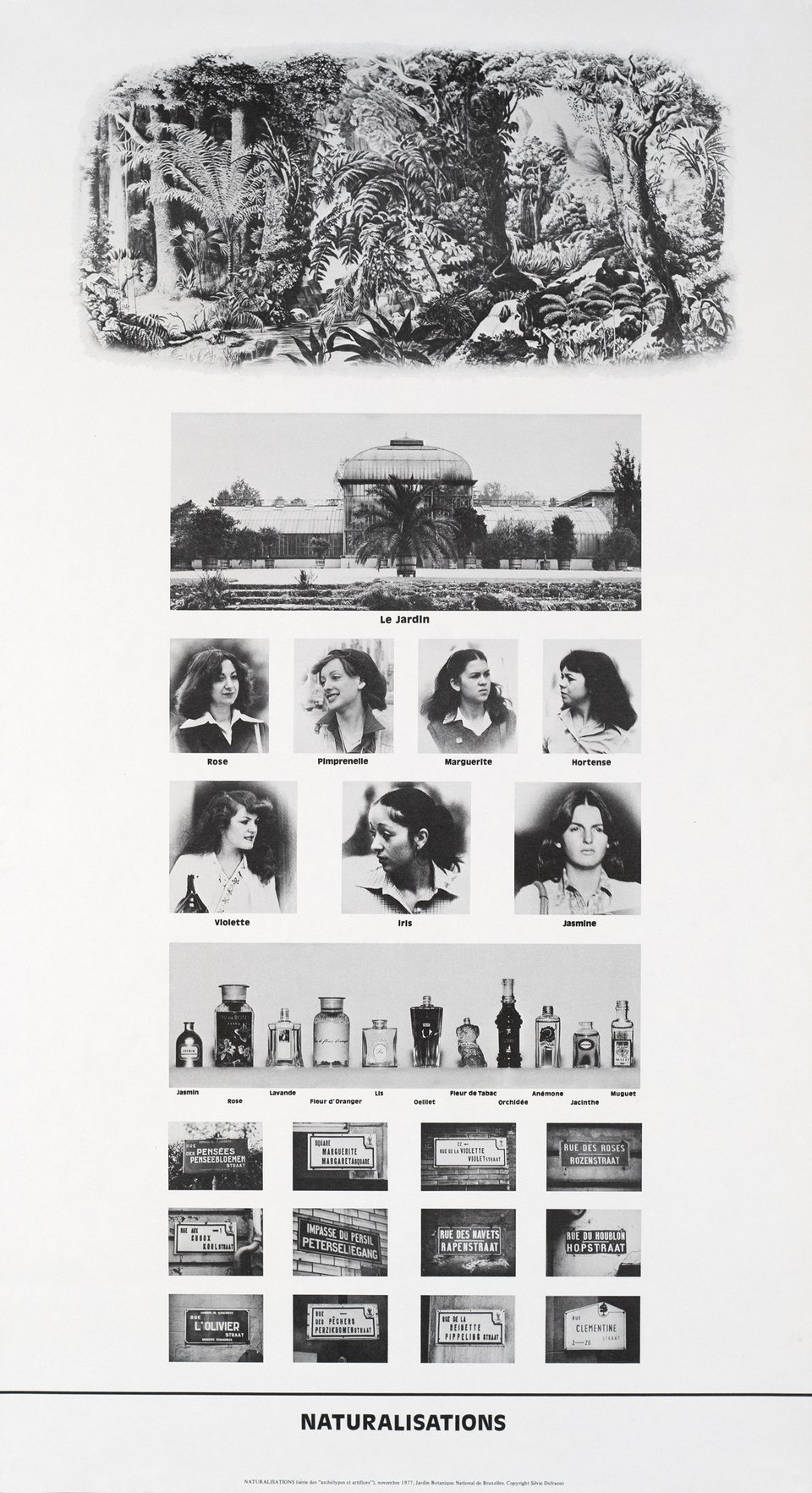 Naturalisations, Sylvie Defraoui, Série des "archétypes et artifices" – Affiche ancienne – Sylvie DEFRAOUI – 1977
