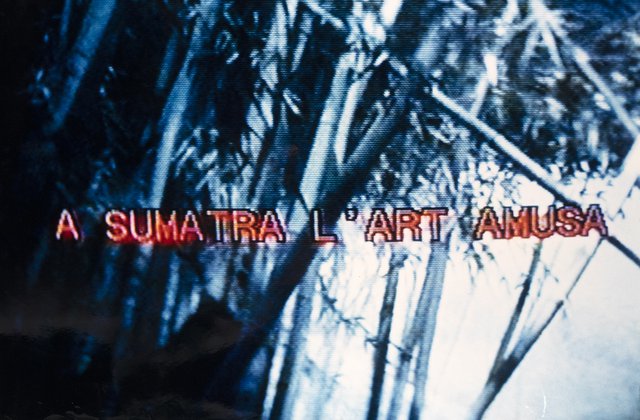 Palindrome "A Sumatra l'Art Amusa"
