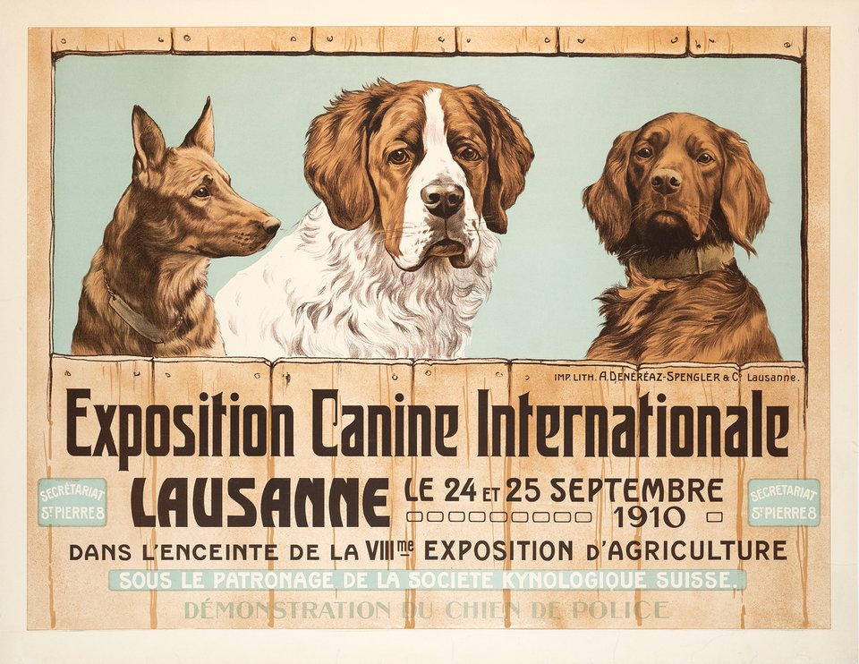 Exposition Canine Internationale Lausanne – Affiche ancienne – ANONYMOUS – 1910